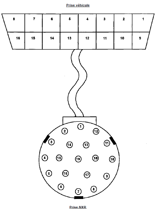 Câble de diagnostic pour l'outil "NXR"